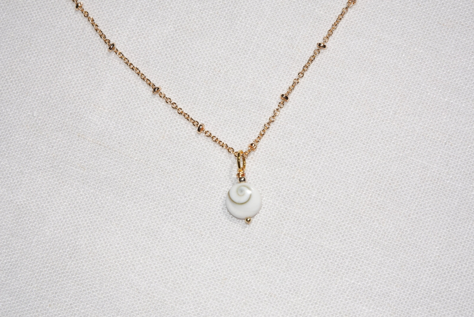 Calypso Shiva Shell Necklace - medium - gold