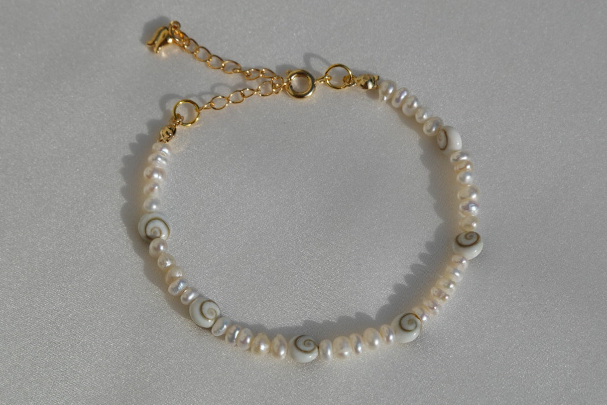 Small Shiva Shells Braclet