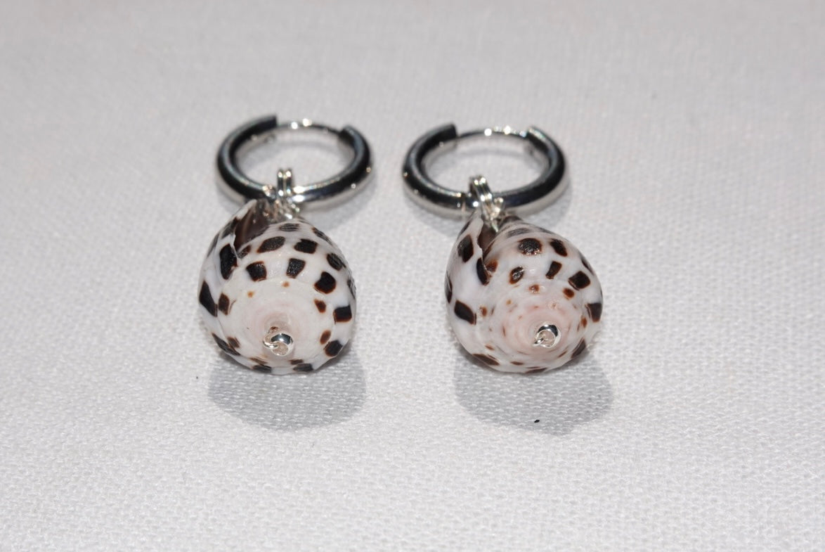 Hebrew Cone Shell Hoops - silber