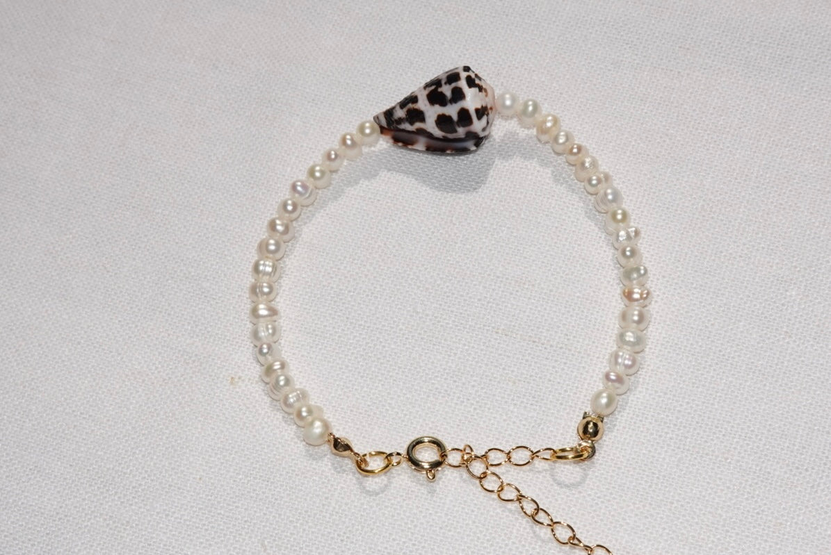 Hebrew Cone Shell Braclet