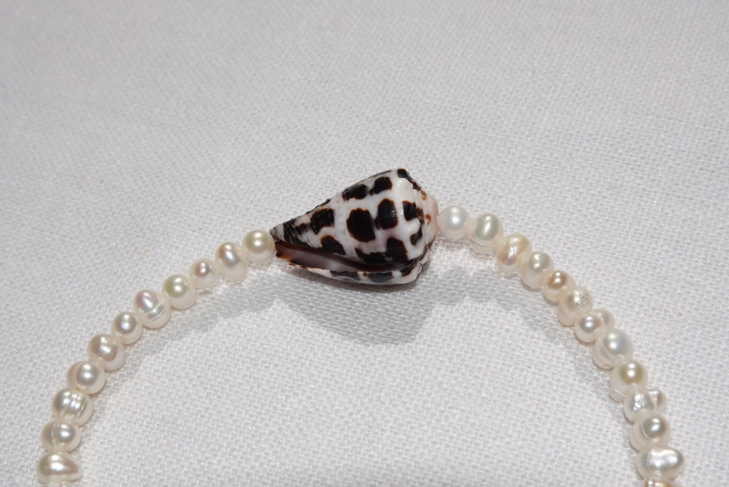 Hebrew Cone Shell Braclet