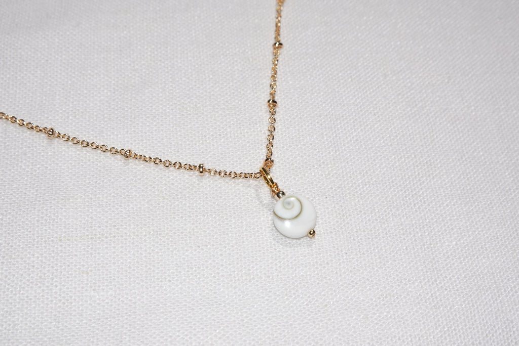 Calypso Shiva Shell Necklace - medium - gold