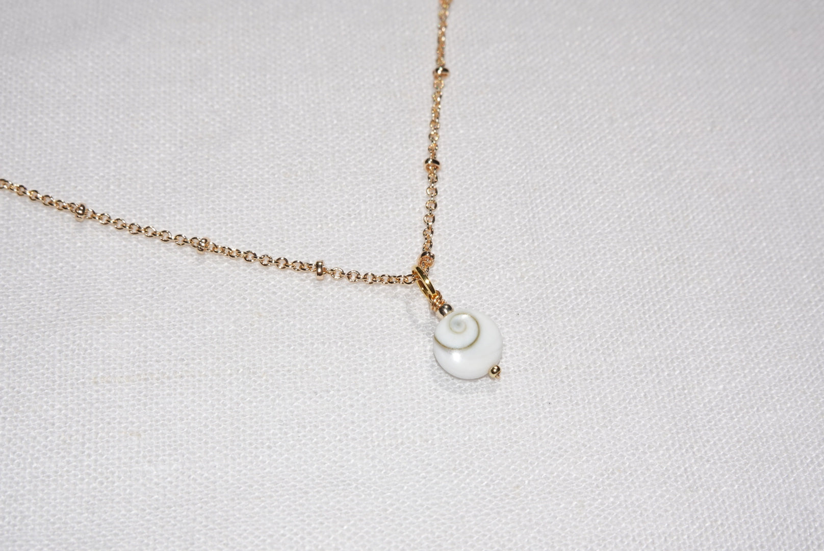 Calypso Shiva Shell Necklace - medium - gold