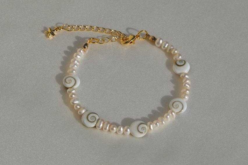 Medium Shiva Shells Braclet
