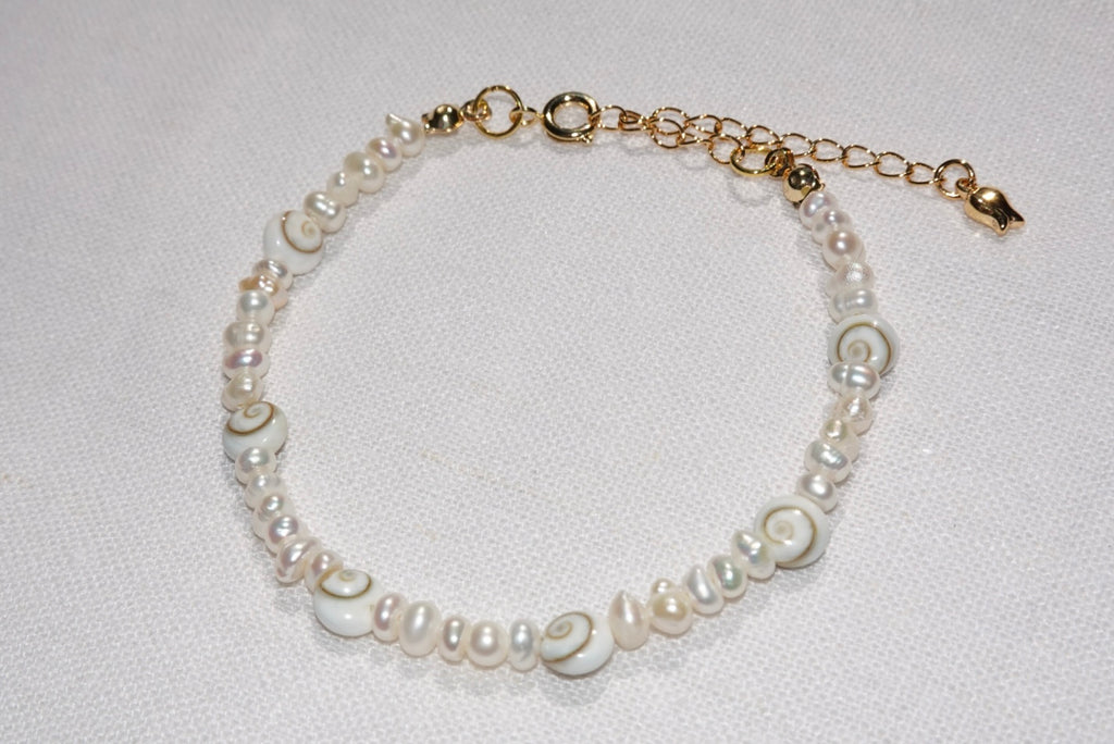 Small Shiva Shells Braclet